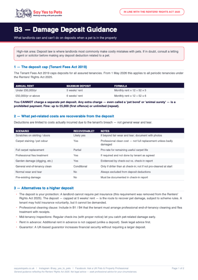Preview of the B3 — Damage Deposit Guidance template