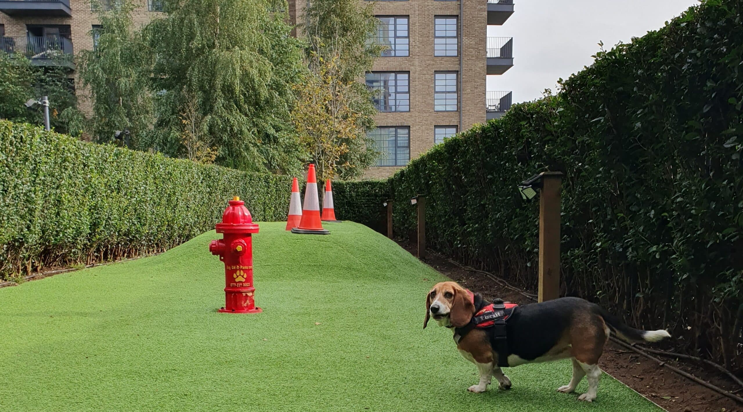 Are Pet Fees Disappearing in Build-to-Rent or Just Being Hidden?