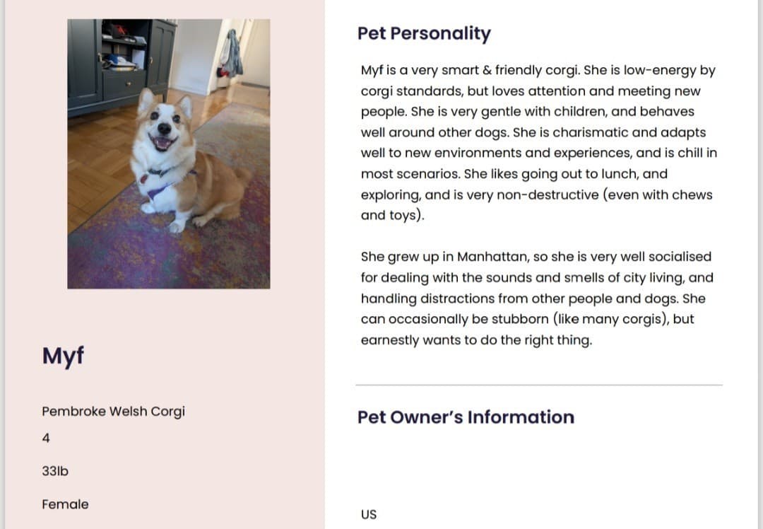 The Power of a Pet CV: Why It Can Win You a Rental