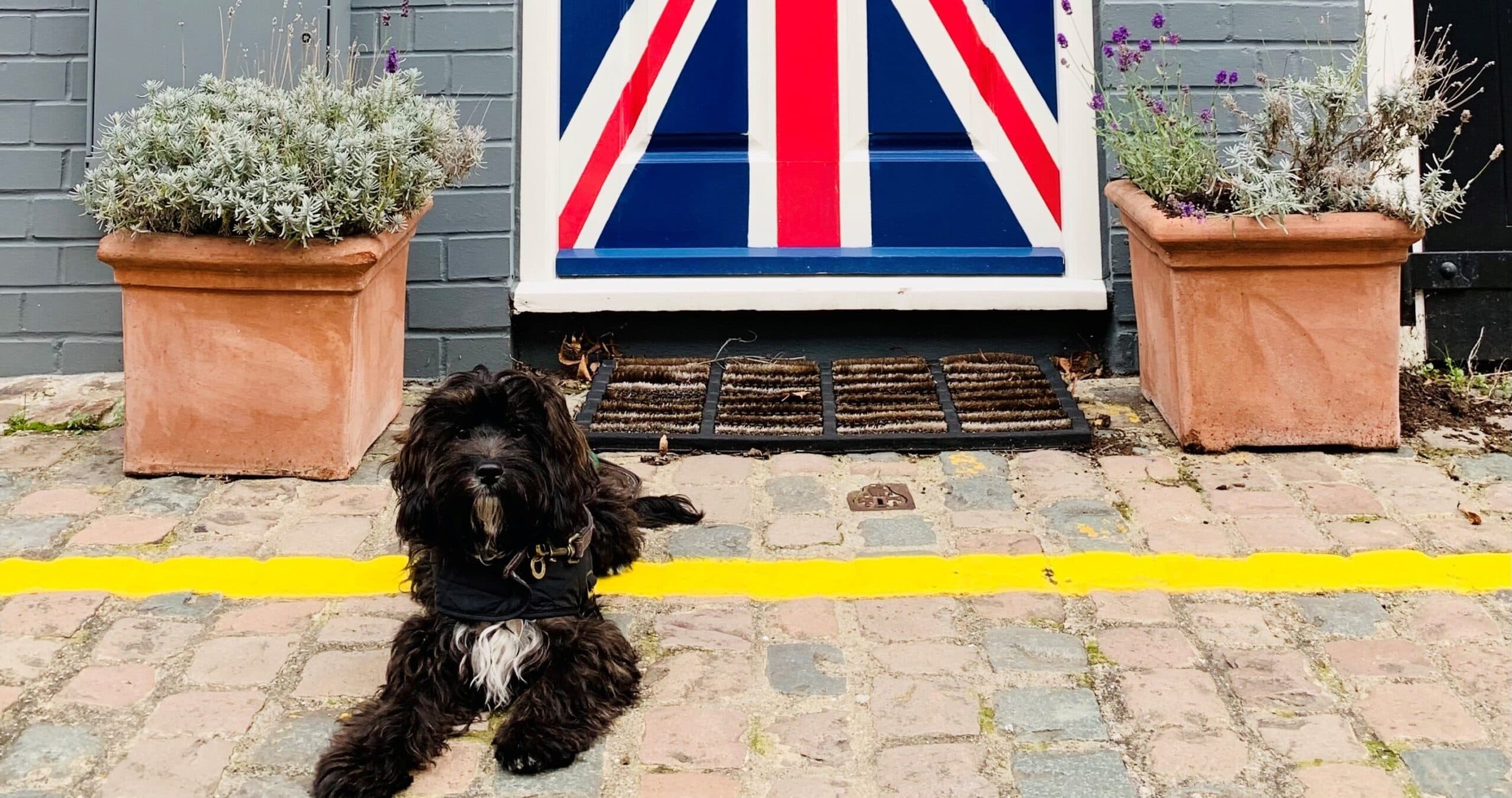 The Pet Request Is Coming: How Landlords Respond Matters