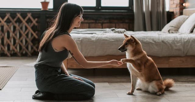 Thinking About Getting a Pet? Don’t Just Ask. Prepare.