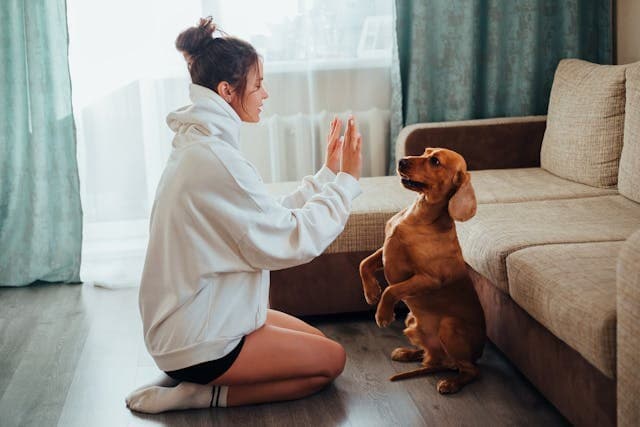 Asking for a Pet? Show Your Landlord You've Thought It Through