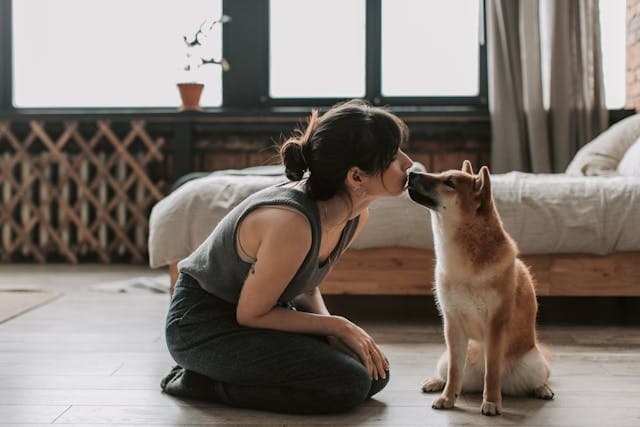 Relocating from the US to the UK with a Dog on Savings