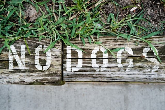 What Does Unreasonably Refuse A Pet Actually Means Under the Renters' Rights Act?